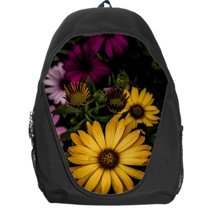 Beautiful Colourful African Daisies  Backpack Bag