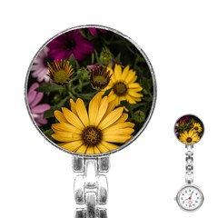 Beautiful Colourful African Daisies  Stainless Steel Nurses Watches by OZMedia