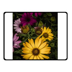 Beautiful Colourful African Daisies  Double Sided Fleece Blanket (small) 