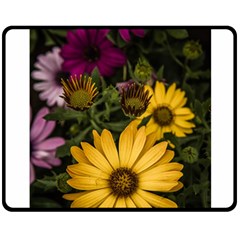 Beautiful Colourful African Daisies  Double Sided Fleece Blanket (medium)  by OZMedia