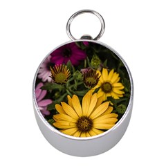 Beautiful Colourful African Daisies  Mini Silver Compasses by OZMedia