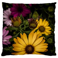 Beautiful Colourful African Daisies  Large Flano Cushion Cases (one Side)  by OZMedia