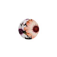 Beautiful Colourful African Daisies 1  Mini Buttons by OZMedia