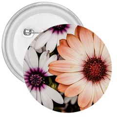 Beautiful Colourful African Daisies 3  Buttons