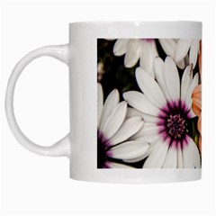 Beautiful Colourful African Daisies White Mugs