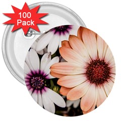 Beautiful Colourful African Daisies 3  Buttons (100 Pack)  by OZMedia