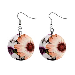 Beautiful Colourful African Daisies Mini Button Earrings