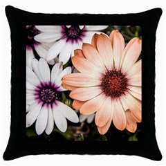 Beautiful Colourful African Daisies Throw Pillow Cases (black) by OZMedia