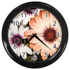 Beautiful Colourful African Daisies Wall Clocks (black)