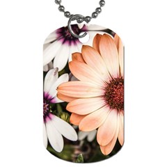 Beautiful Colourful African Daisies Dog Tag (one Side)