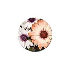 Beautiful Colourful African Daisies Golf Ball Marker