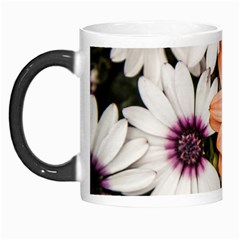 Beautiful Colourful African Daisies Morph Mugs