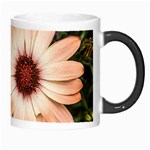 Beautiful Colourful African Daisies Morph Mugs Right