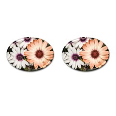 Beautiful Colourful African Daisies Cufflinks (oval)