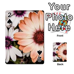 Beautiful Colourful African Daisies Playing Cards 54 Designs 