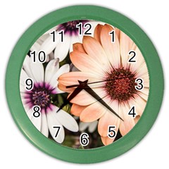 Beautiful Colourful African Daisies Color Wall Clocks by OZMedia