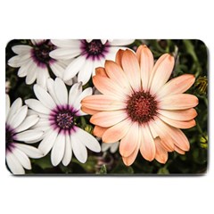 Beautiful Colourful African Daisies Large Doormat 