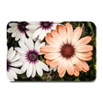 Beautiful Colourful African Daisies Plate Mats 18 x12  Plate Mat