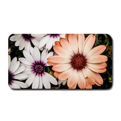 Beautiful Colourful African Daisies Medium Bar Mats by OZMedia