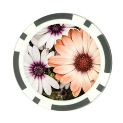 Beautiful Colourful African Daisies Poker Chip Card Guards by OZMedia