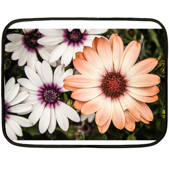 Beautiful Colourful African Daisies Double Sided Fleece Blanket (Mini) 