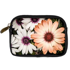 Beautiful Colourful African Daisies Digital Camera Cases