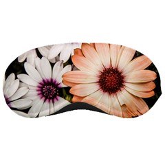 Beautiful Colourful African Daisies Sleeping Masks by OZMedia