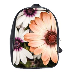 Beautiful Colourful African Daisies School Bags(large)  by OZMedia