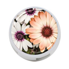 Beautiful Colourful African Daisies 4-port Usb Hub (two Sides)  by OZMedia