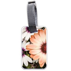 Beautiful Colourful African Daisies Luggage Tags (two Sides) by OZMedia