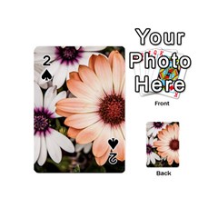 Beautiful Colourful African Daisies Playing Cards 54 (mini)  by OZMedia