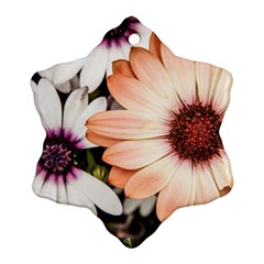 Beautiful Colourful African Daisies Snowflake Ornament (2-side) by OZMedia