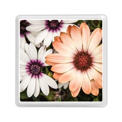 Beautiful Colourful African Daisies Memory Card Reader (square) 