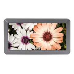 Beautiful Colourful African Daisies Memory Card Reader (mini) by OZMedia