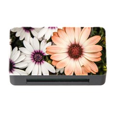 Beautiful Colourful African Daisies Memory Card Reader With Cf