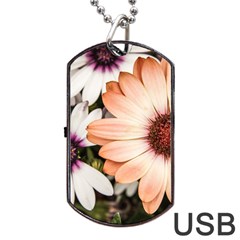 Beautiful Colourful African Daisies Dog Tag Usb Flash (two Sides)  by OZMedia