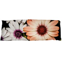 Beautiful Colourful African Daisies Body Pillow Cases Dakimakura (two Sides)  by OZMedia