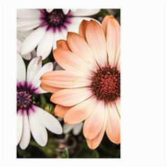 Beautiful Colourful African Daisies Small Garden Flag (two Sides) by OZMedia