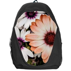 Beautiful Colourful African Daisies Backpack Bag by OZMedia