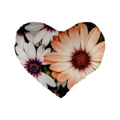 Beautiful Colourful African Daisies Standard 16  Premium Heart Shape Cushions