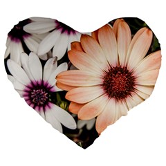 Beautiful Colourful African Daisies Large 19  Premium Heart Shape Cushions