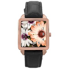 Beautiful Colourful African Daisies Rose Gold Watches