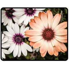 Beautiful Colourful African Daisies Double Sided Fleece Blanket (medium)  by OZMedia