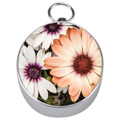 Beautiful Colourful African Daisies Silver Compasses by OZMedia