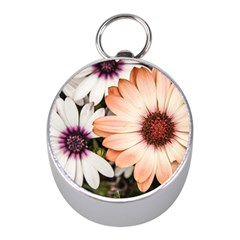 Beautiful Colourful African Daisies Mini Silver Compasses by OZMedia