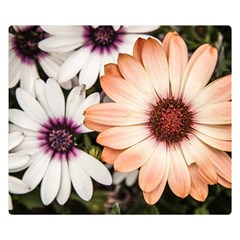 Beautiful Colourful African Daisies Double Sided Flano Blanket (small) 