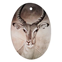 Antelope Horns Ornament (oval) 