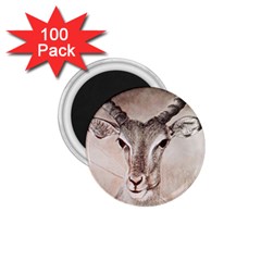 Antelope Horns 1 75  Magnets (100 Pack) 