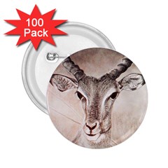 Antelope Horns 2 25  Buttons (100 Pack) 