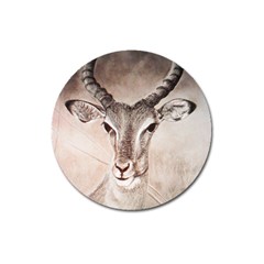 Antelope Horns Magnet 3  (round)